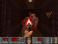 Screenshot Doom 20090301 134210.png