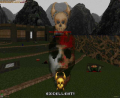 Thumbnail for version as of 13:47, 15 September 2008